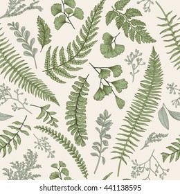 Seamless floral pattern in vintage style. Leaves and herbs. Botanical illustration. Boxwood, seeded eucalyptus, fern, maidenhair. Vector design elements.