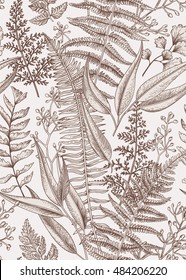Seamless floral pattern in vintage style. Leaves and plants. Botanical illustration. Vector.