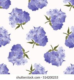 Seamless floral pattern with violet phlox on white background.  Vector illustration.