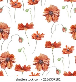 Seamless floral pattern watercolor hand drawn poppies