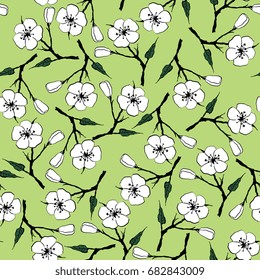Seamless floral pattern. White apricot blossom on fresh green background.