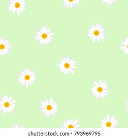 Seamless floral pattern white flowers Daisy on green background, vector, eps 10