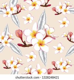 Seamless floral pattern white Frangipani flowers on isolated pink pastel color background.Vector illustration watercolor hand drawn doodle style.