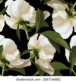 Nahtlose Blumenmuster, weiße Peronenblumen auf schwarzem Hintergrund. Design für Tapete, Stoff, Wickelpapier, Deckel und mehr. 