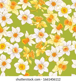 Nahtlose Blumenmuster aus weißen und gelben Blumen von Narzissen auf hellgrünem Hintergrund. Design für Tapete, Wickelpapier, Stoff, Servietten.