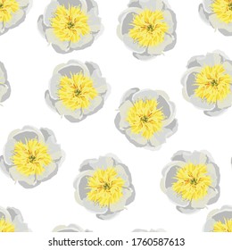 Seamless floral pattern with white yellow peonies. Design for wallpaper, fabric, wrapping paper, cover and more. White background.
