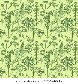 seamless floral pattern with wild flower