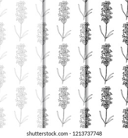 seamless floral pattern with wild flower
