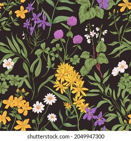 Seamless floral pattern with wild flowers and herbs. Repeating botanical background for printing. Endless retro texture with summer herbal plants and leaves. Colored hand-drawn vector illustration