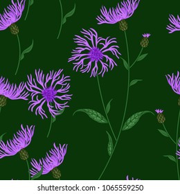 Seamless floral pattern with wild meadow flowers, herbs. Delicate flower print for wallpaper, dress, clothes, surface. Trendy colors. Free order.