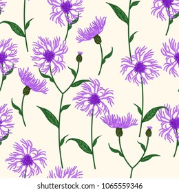 Seamless floral pattern with wild meadow flowers, herbs. Delicate flower print for wallpaper, dress, clothes, surface. Trendy colors. Free order.