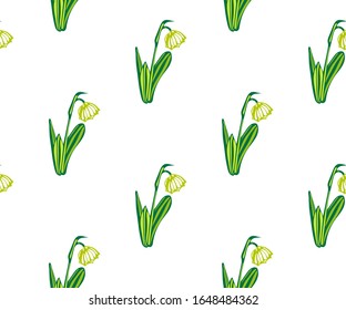 Seamless floral pattern with wild spring flower ornamental decorative background. Vector pattern. Print for textile, cloth, wallpaper, scrapbooking