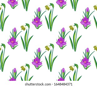 Seamless floral pattern with wild spring flower ornamental decorative background. Vector pattern. Print for textile, cloth, wallpaper, scrapbooking