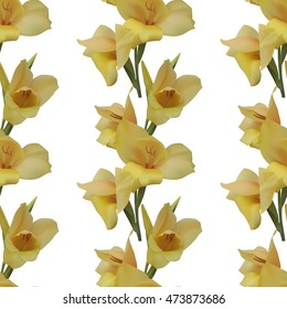 Seamless floral pattern with yellow gladiolus on white background. Vector illustration.