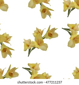 Seamless floral pattern with yellow gladiolus on white background. Vector illustration.