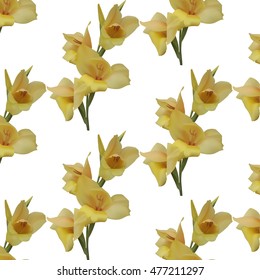 Seamless floral pattern with yellow gladiolus on white background. Vector illustration.