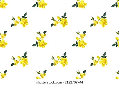 Nahtlose, florale Muster, gelbe Rosen und Rosenknospen auf weißem Hintergrund für Stoffdesign, Vektorgrafik 


