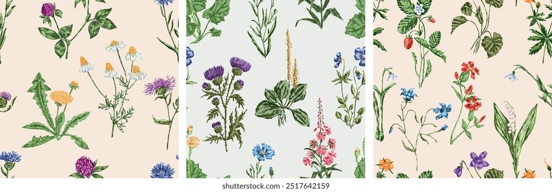 Seamless floral patterns of different hand drawn wildflowers, dandelion, camomile, cornflower, thistle, bellflower, lily of the valley, wallpaper, paper, textile, fabric, vector illustration