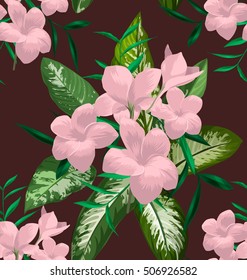  Seamless floral patterns with Plumeria pudica flower.