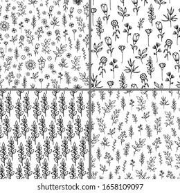 Seamless floral patterns set. Vector backgrounds with hand drawn herbs and flowers on white background.