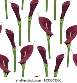 Seamless Floral Print with Exotic callas lilly Flowers, Nature Ornament for Textile or Wrapping Paper. White background.