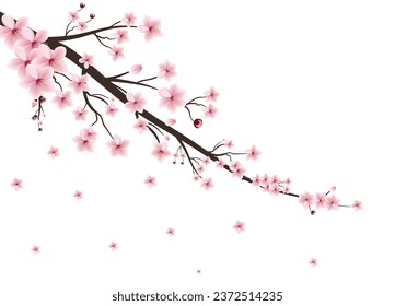 Seamless floral sakura pattern background. Branches of Sakura with Pink flowers and flying petals and branch. Cherry blossom branch with sakura flower.Cherry blossom flower blooming vector.