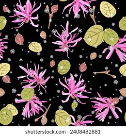 Seamless floral seasonal pattern with blooming of Loropetalum Chinense plant and snowflakes. Chinese fringe flower or strap flower. Pink blossom and green leaves on black background.