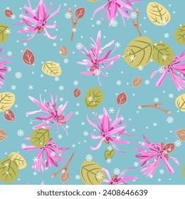 Seamless floral seasonal pattern with blooming of Loropetalum Chinense plant and snowflakes. Chinese fringe flower or strap flower. Pink blossom and green leaves on light blue background.