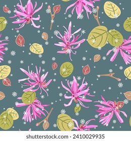 Seamless floral seasonal pattern with blooming of Loropetalum Chinense plant and snowflakes. Chinese fringe flower or strap flower. Pink blossom and green leaves on gray blue background.