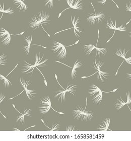 Seamless floral spring pattern with dandelion seeds. Botanical modern  dirty gray texture or background in vector. Design template for cover, wallpaper, textile