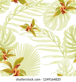 Seamless floral tropical pattern. Cattleya orchid phalaenopsis flowers. Exotic light green leaves jungle palm tree monstera. Beautiful foliage background wallpaper. Vector design illustration.
