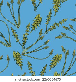 Seamless floral vector pattern with a dandelion green branches on light blue background. 
