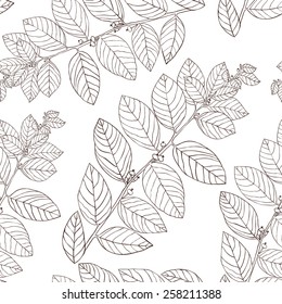 Seamless floral vector pattern - linear securinega plant