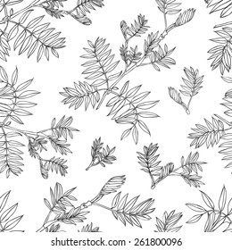 Seamless floral vector pattern - linear plants