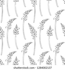 Seamless floral vector pattern Muscari flower hand drawn ink sketch isolated on white background, graphic hyacinth line art texture for package, florist shop, cosmetic design, wedding invitation
