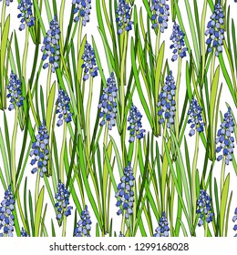 Seamless floral vector pattern Muscari flower hand drawn illustration isolated on white background, hyacinth colorful texture for package, florist shop, cosmetic design, wedding invitation, textile