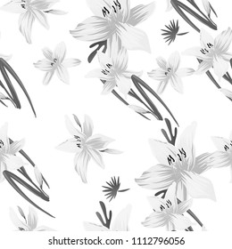 Seamless flower garder liliya pattern. Botany flora decoration. Vector drawing.
