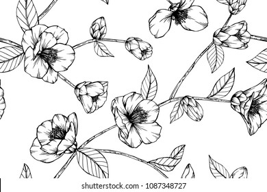 Seamless flower pattern background with Camellia Japonica flower and leaf drawing illustration.