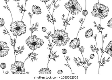 Seamless Flower Pattern Background With Cosmos Flower And Leaf Drawing Illustration.