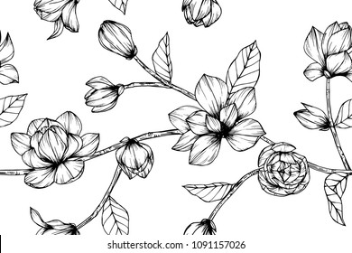 Magnolia Line Drawing Images Stock Photos Vectors Shutterstock