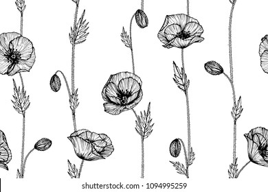 Seamless flower pattern background with Poppy flower and leaf drawing illustration. 