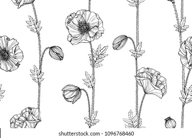Fondo de flores sin inmueble con ilustración de dibujo de adormidera y hoja. 