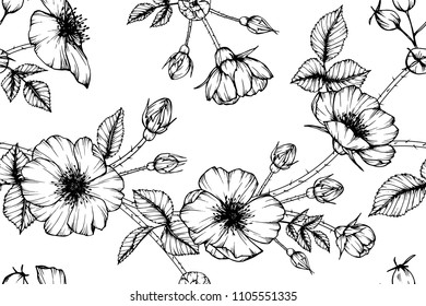 Seamless flower pattern background with Rose flower and leaf drawing illustration. 