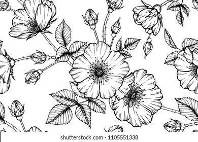 Seamless flower pattern background with Rose flower and leaf drawing illustration. 