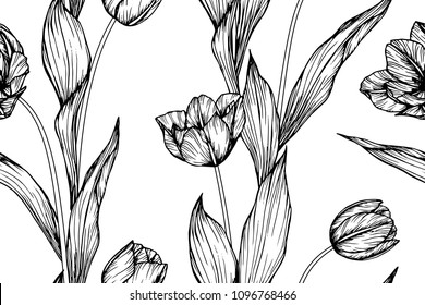 Seamless flower pattern background with Tulip flower and leaf drawing illustration. 