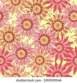 Seamless Flower Pattern. Beautiful Stylized Gerbera or Daisy. Vector Flowers in Vintage Style. African Camomile. Seamless Red Flowers for Fashion Printing, Cloth, Textile, Fabric, Paper.