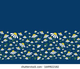 Seamless Flower pattern. Border of different sizes Daisies  on a dark blue background. Vector illustration.