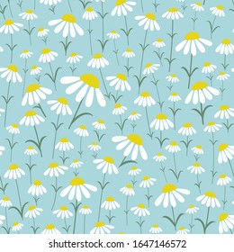 Seamless Flower pattern. Stylized Daisies of different sizes on a blue sky background. Vector illustration.
