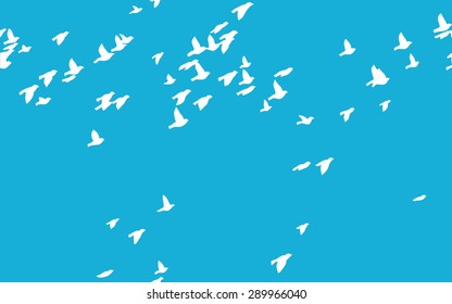 Seamless flying birds
