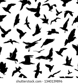 Seamless Flying Birds Silhouettes. Animals Detailed Pattern Black On White Background. Freehand Drawing. Vector. Illustration. Isolated On White Background.